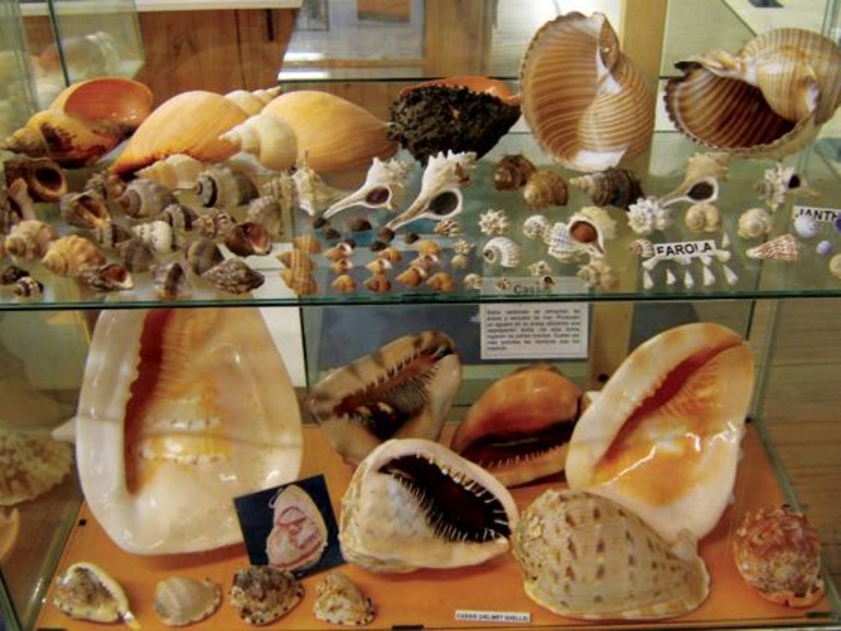 Travel Tips: How to experience Museo del Mar?