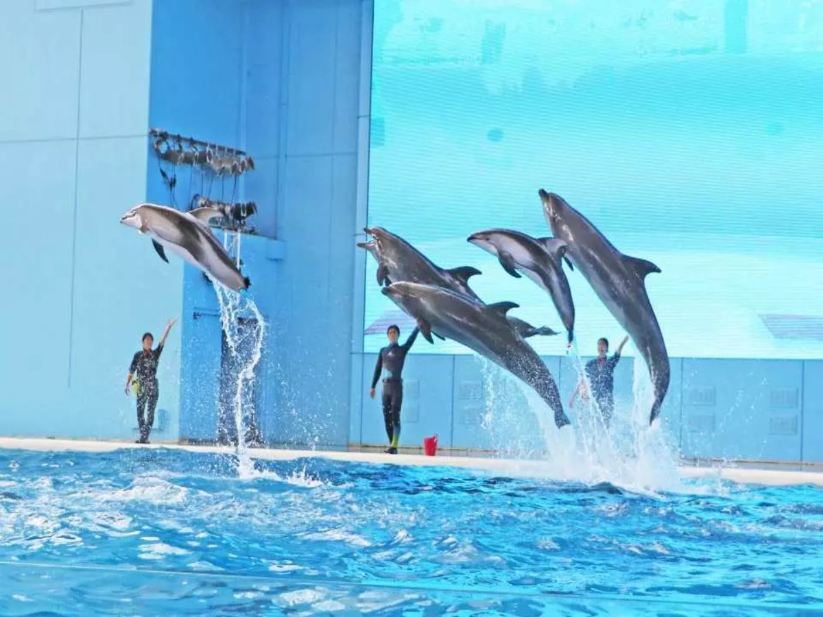 Dancing with the Sea: Aqua Resorts