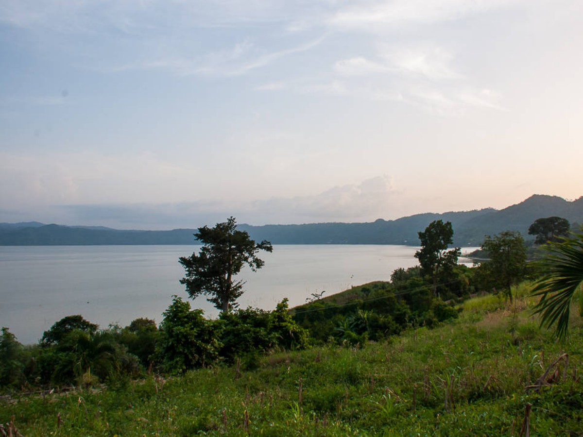 A miracle born from a volcanic crater