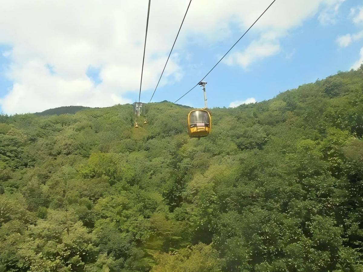Introduction to Palgong Mountain
