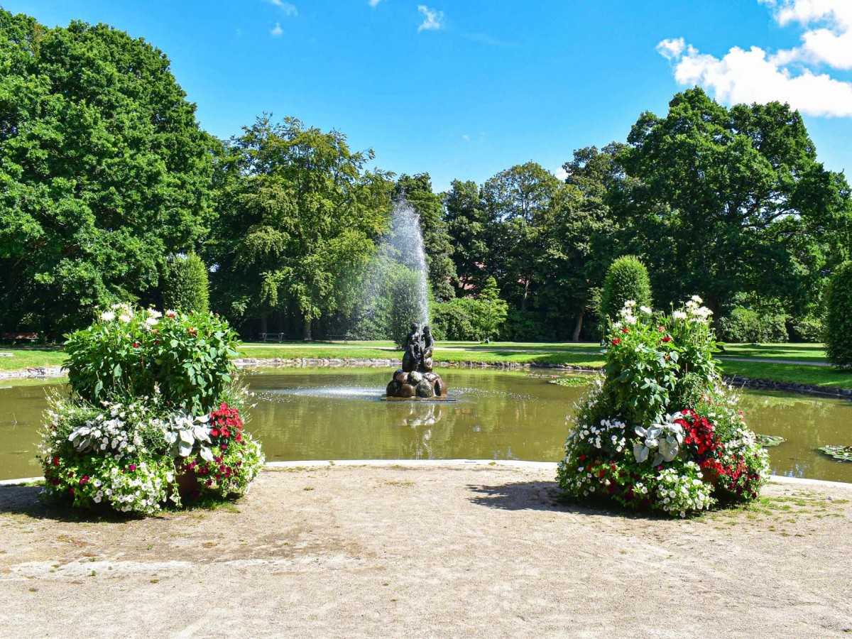 Travel tips: How to experience the charm of the "Music Forest"?