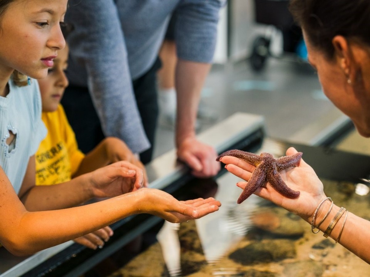 The secrets of the sea are within reach: the amazing experience of the touch pool