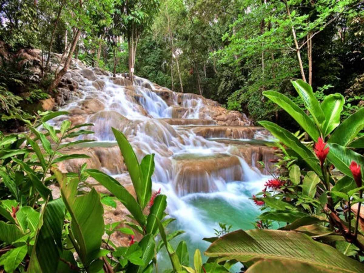 Climb step by step and conquer the ultimate challenge of waterfalls