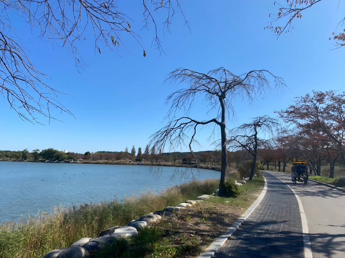 How to enjoy the lakeside route?