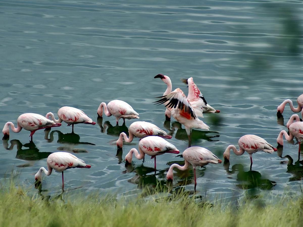 Entrance fees and in-park excursions: putting your money where your mouth is