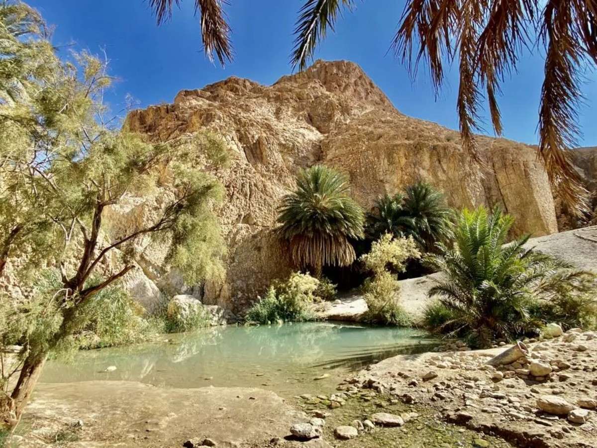 Noon: Mud Brick Geometry Class and Desert Architecture Wisdom