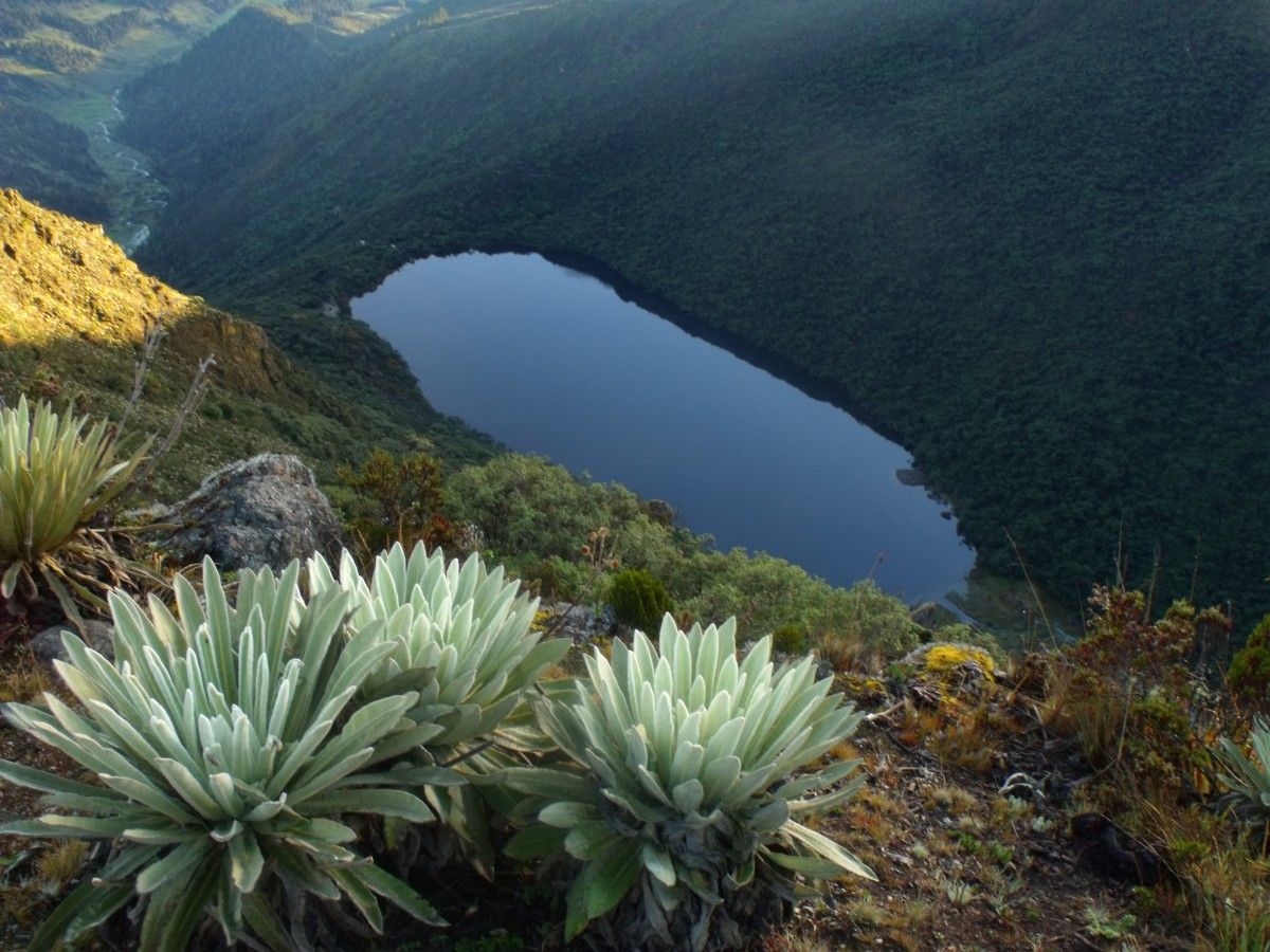 Ecological Paradise: The Hidden Life of Laguna Negra