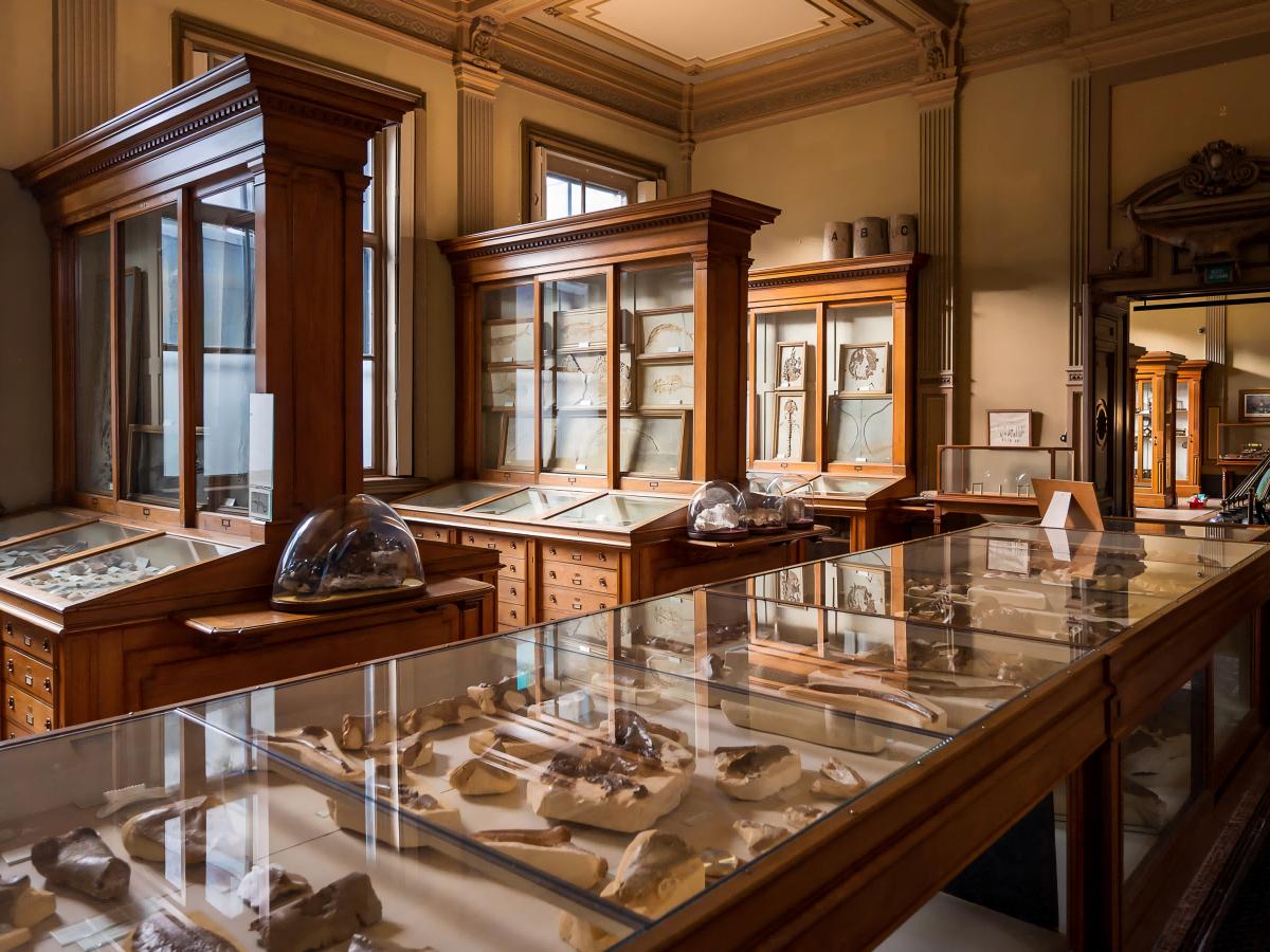 A century of inheritance, the birth of a cultural treasure