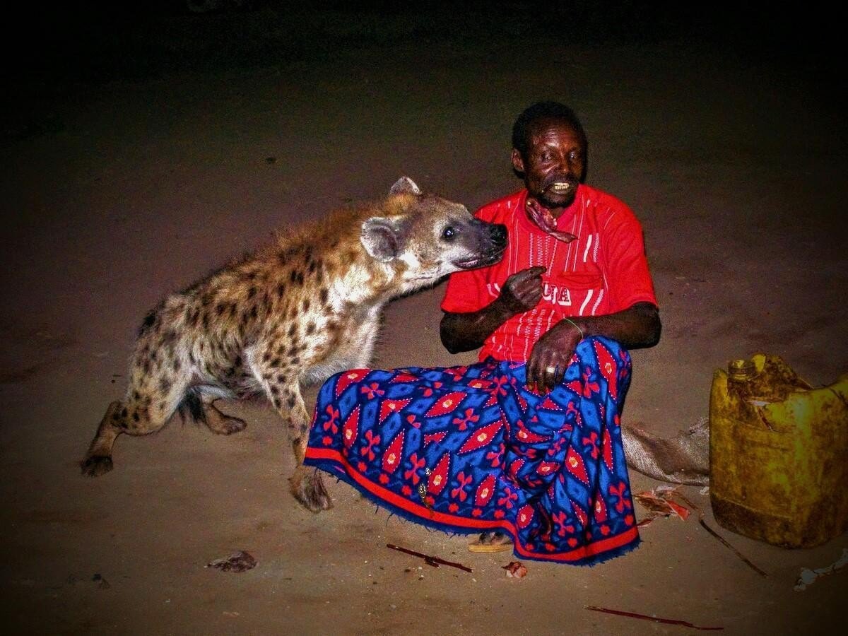 Cultural symbiosis: a human-animal relationship beyond appearances