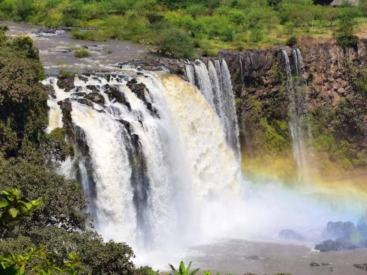 The starting point of the Nile: the roar of the waterfall and the power of life
