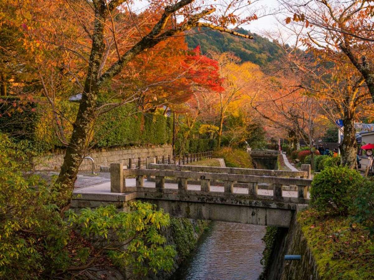 7. Travel Tips: Tips for Philosopher's Path