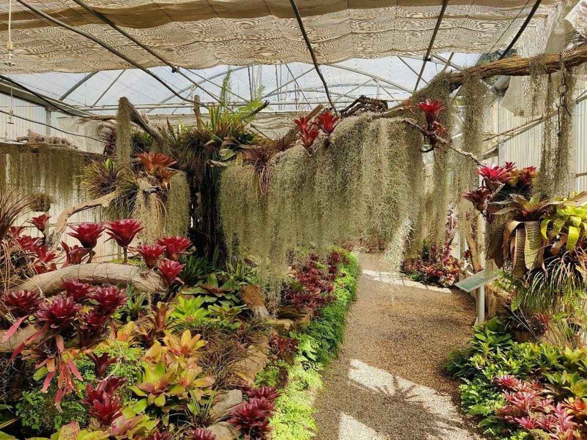 Overview of the Botanical Garden