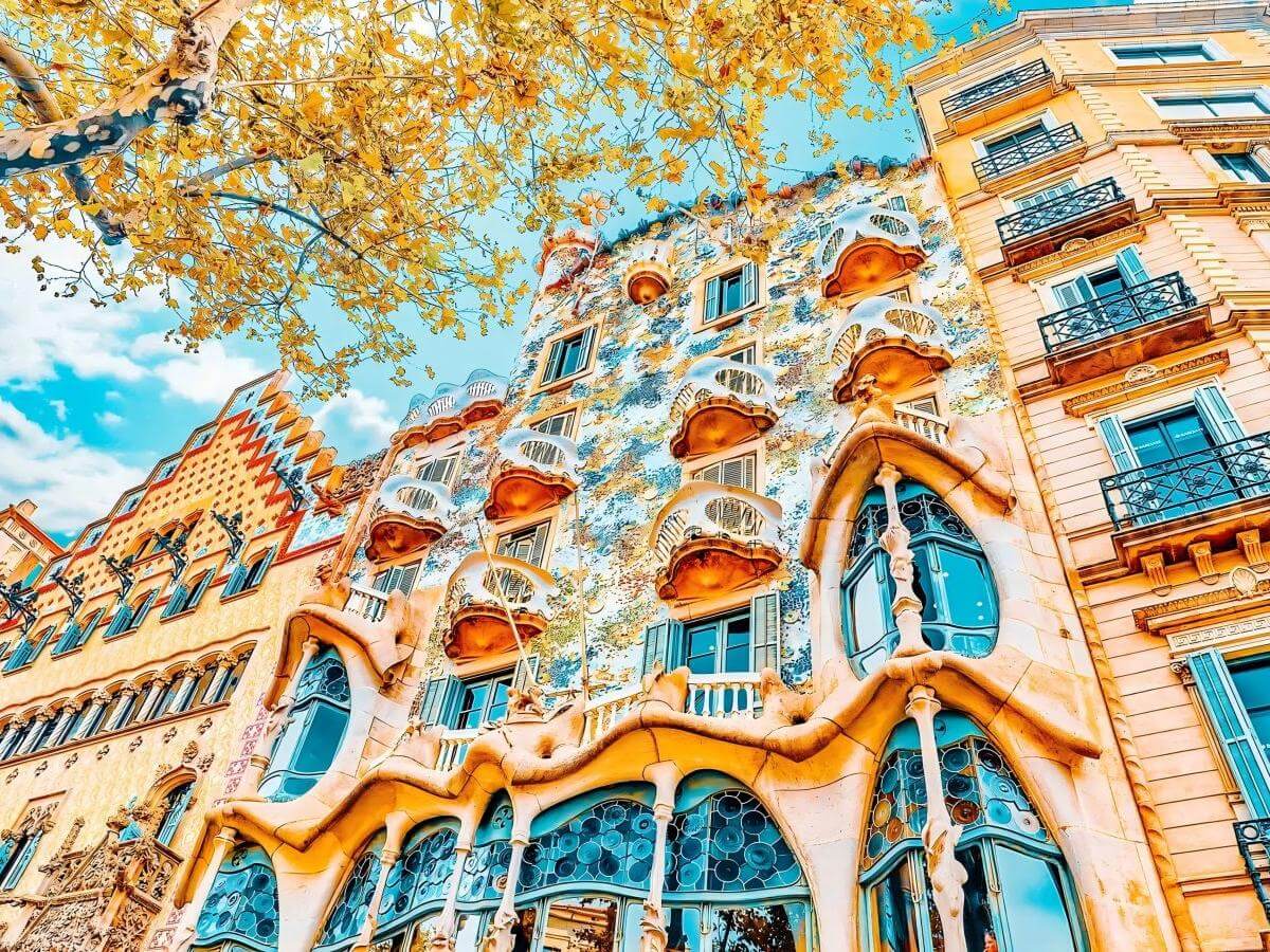 Tips for visiting: Enjoy a magical journey