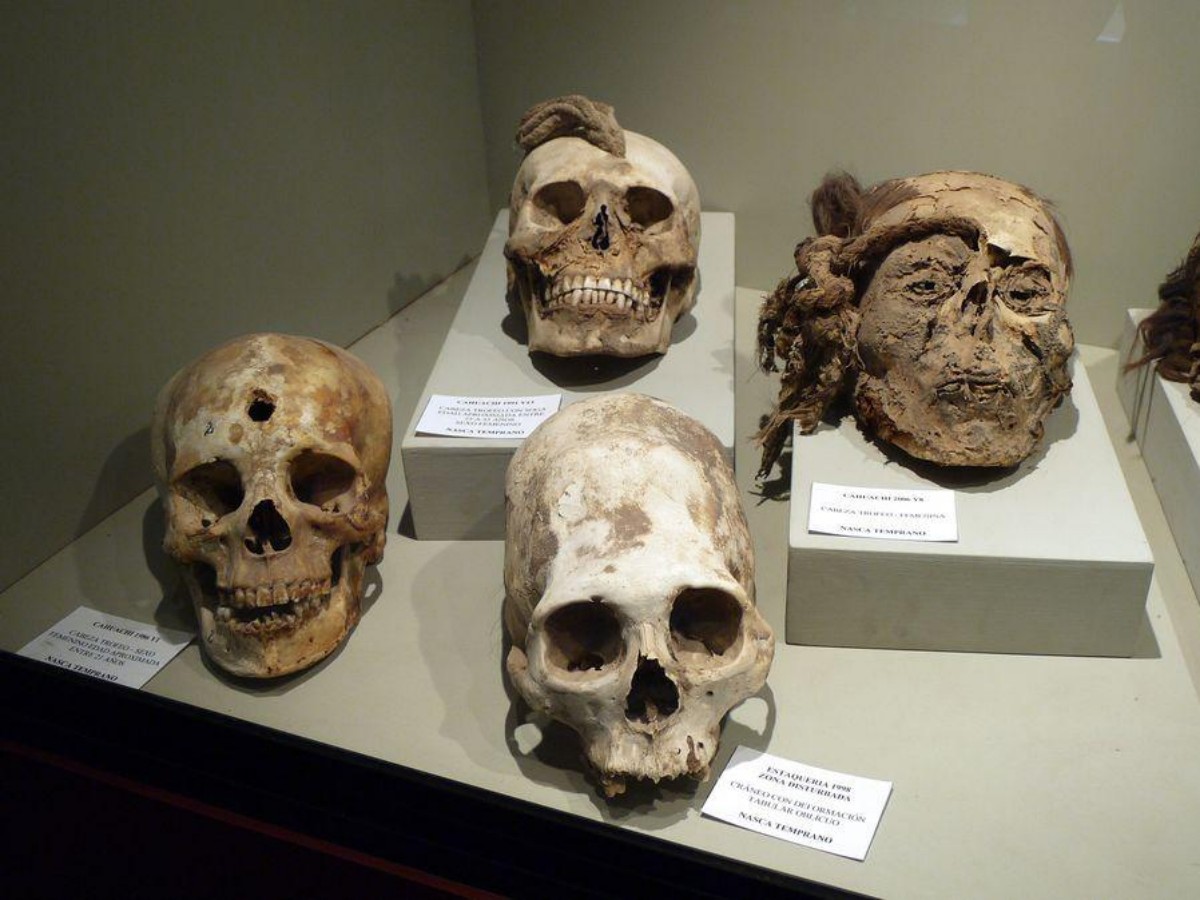 Archaeological excavations and Nazca's ancient tombs