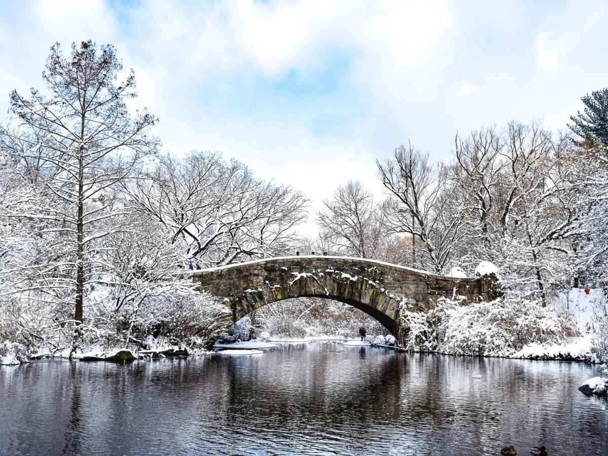 Winter: Purity in Silence