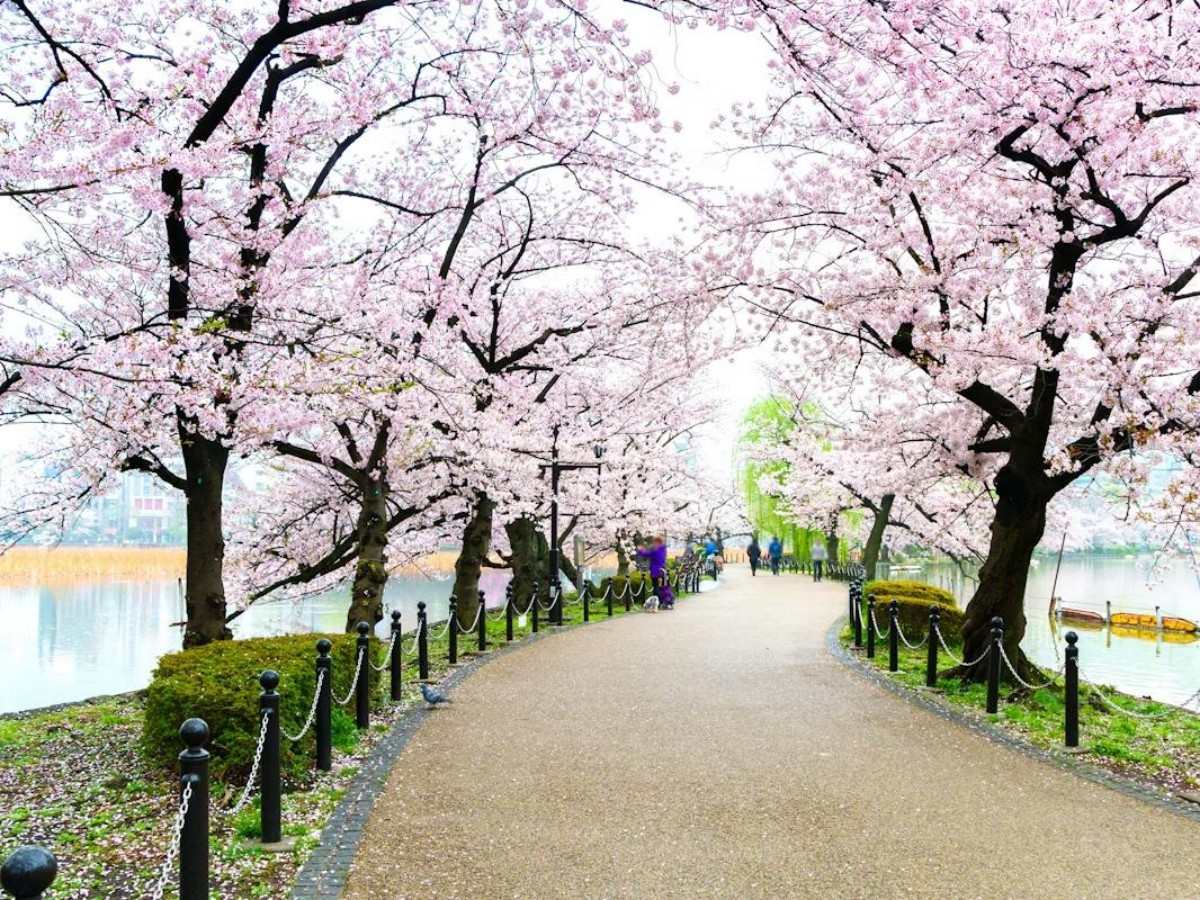 Time and space folding: from the suburbs of Edo to the cultural heart