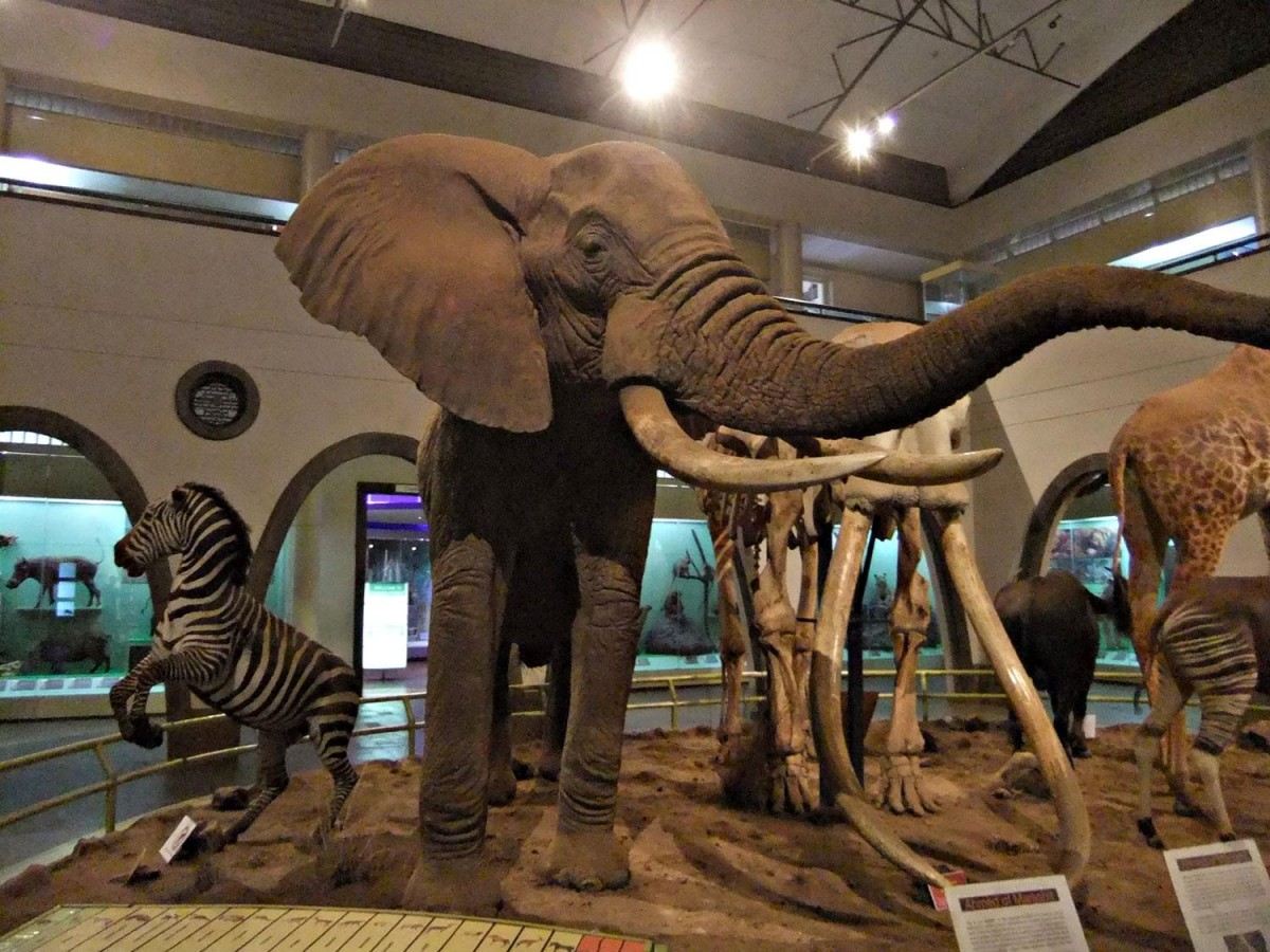 What can you see for 50 shillings? Super value tour list