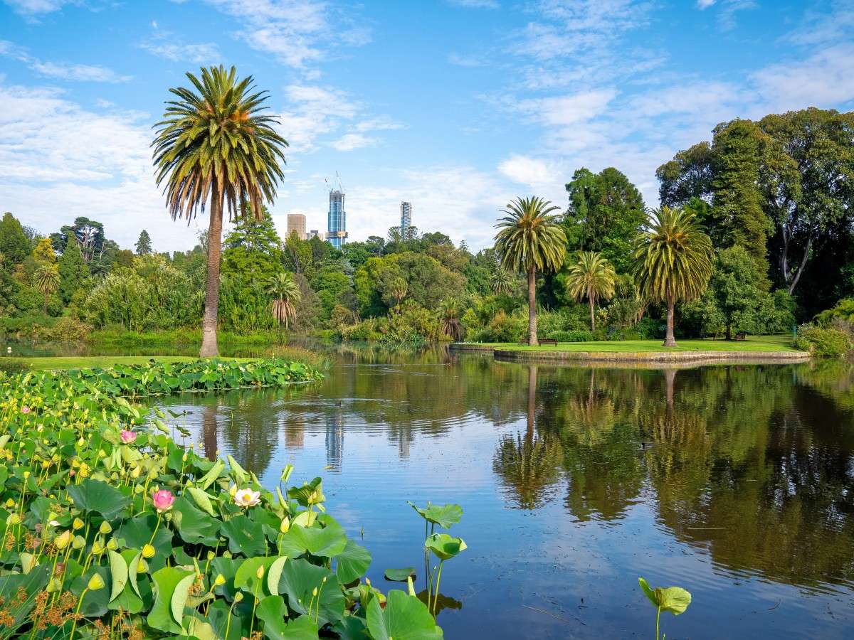Morning experience: immerse your body and mind in the embrace of nature