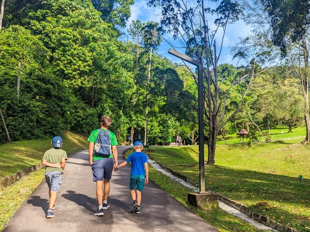 Early Morning Dash: Feeling Energized in Nature