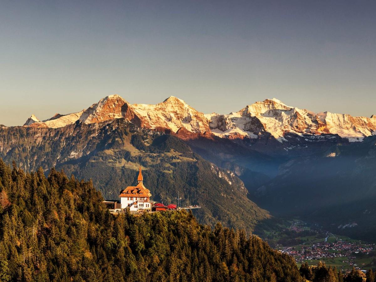 Hardy Quin at Sunset: A Symphony of Splendor and Romance