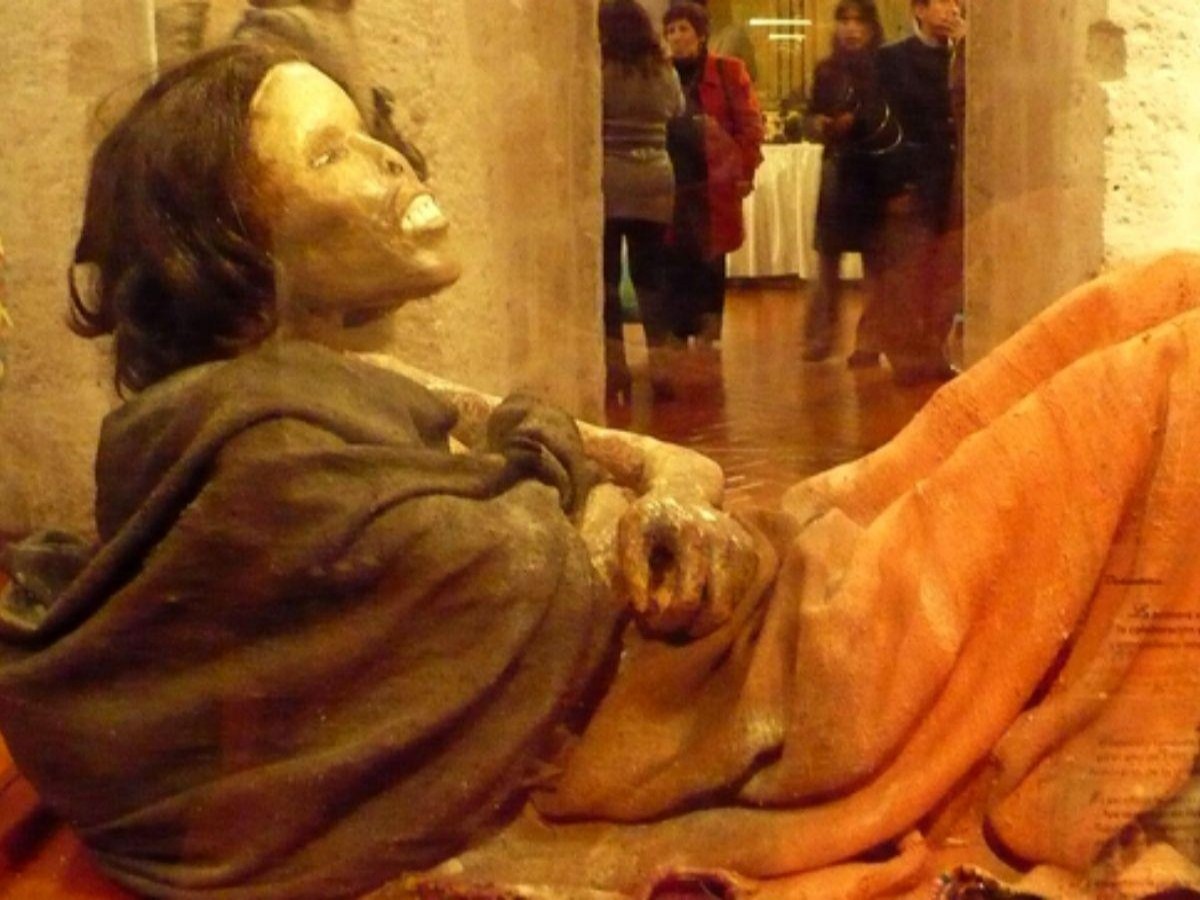 Highlights of the museum
