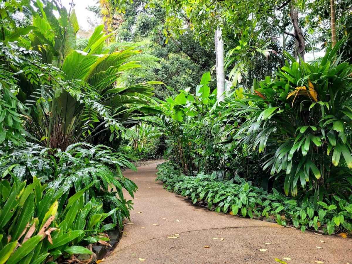 Stop 4: Aquatic Plant Area