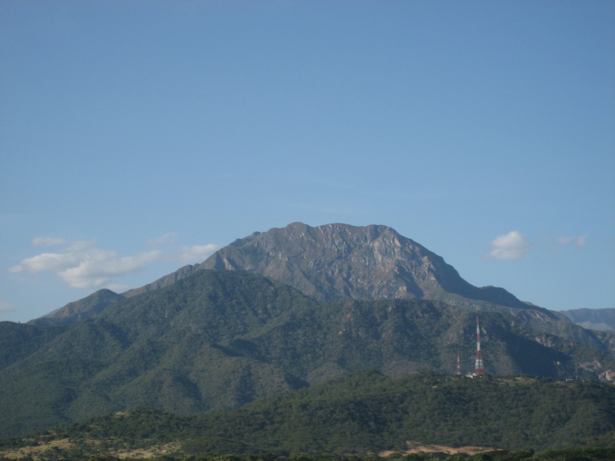Nature Conservation and Ecological Balance