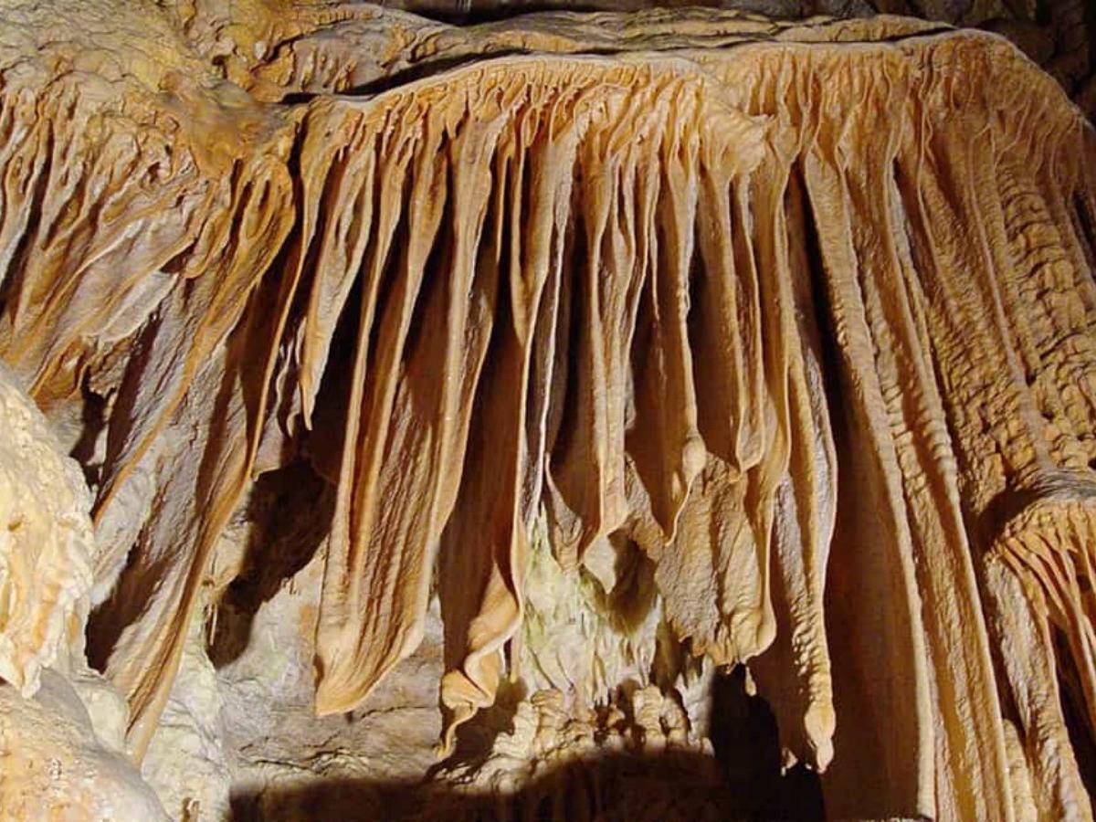 Historical Remains of Crustal Movement and Plate Tectonics