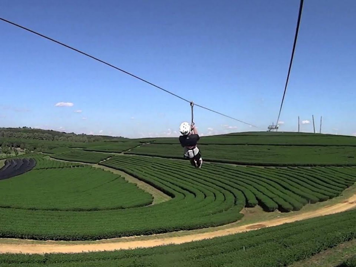First Stop: Ziplining Over a Sea of ​​Flowers – Test Your Courage