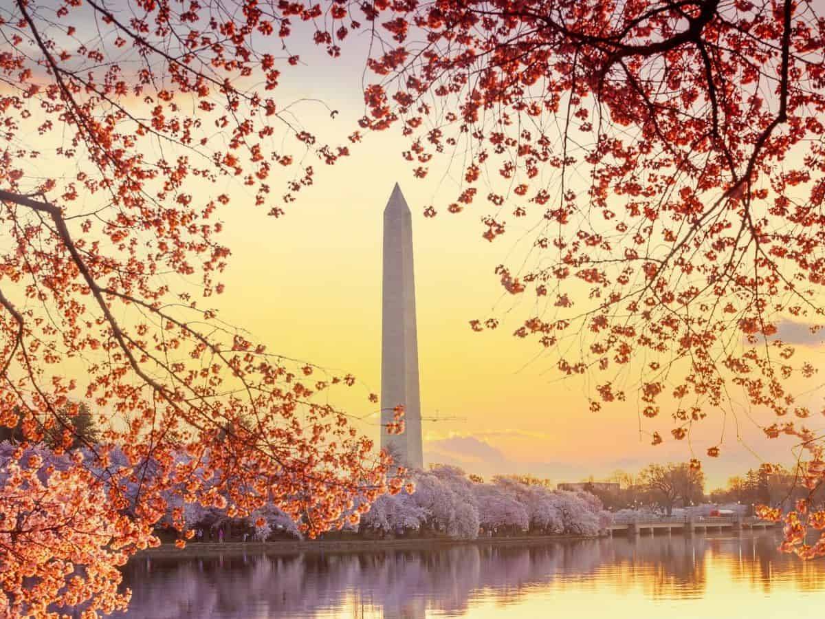 How to visit the Washington Monument