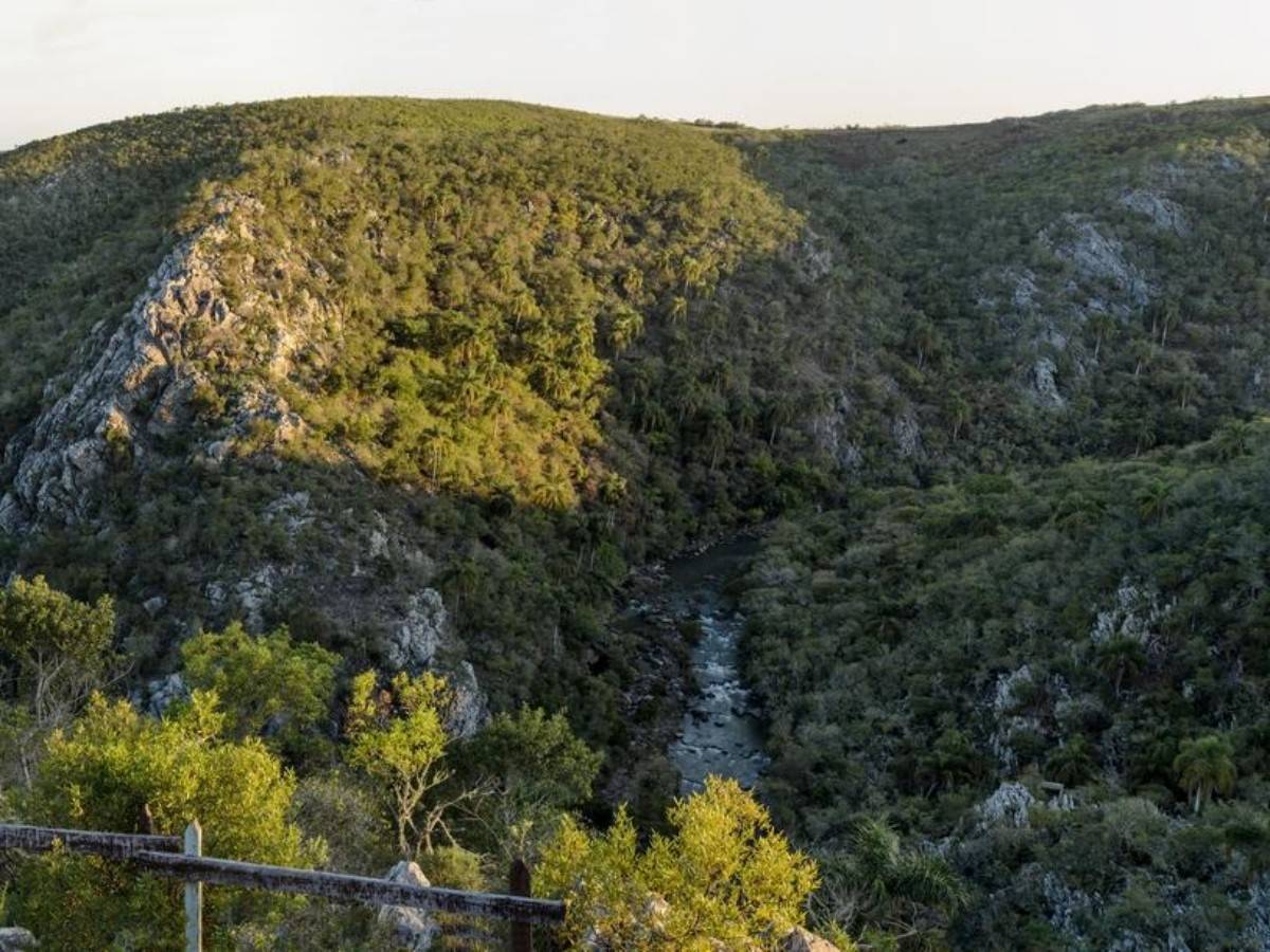 A hidden paradise: the perfect balance between nature conservation and pristine ecology