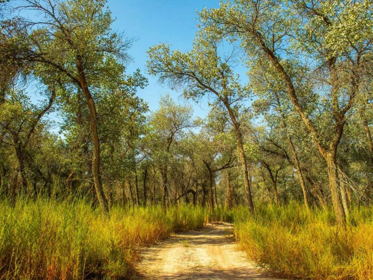 Pre-trip preparation: equipment list and survival rules