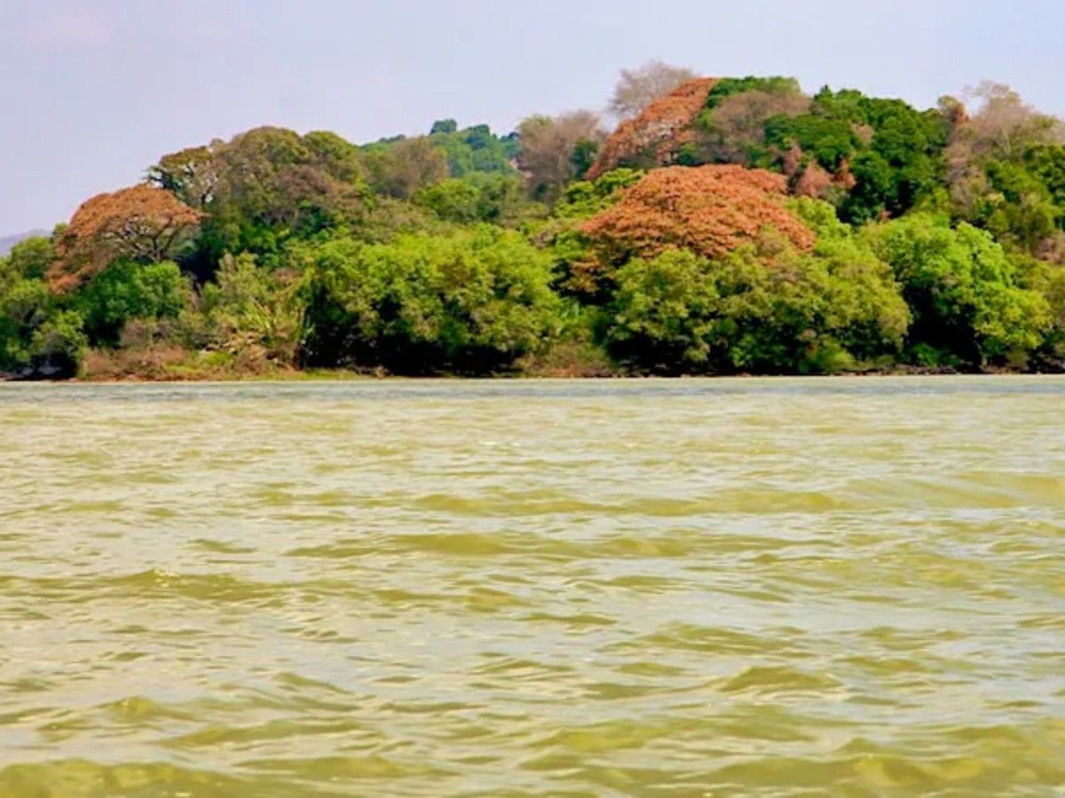 Pearl on the African Plateau: Lake Tana