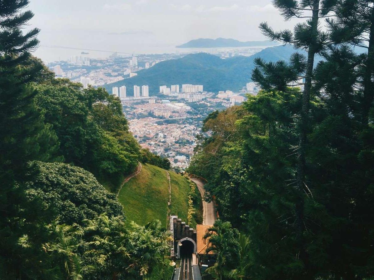 The Habitat: Exploring the Rainforest