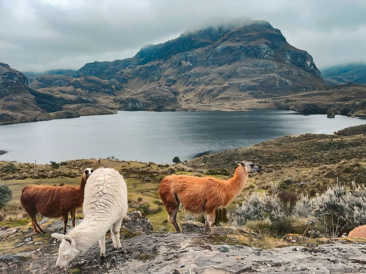 A secret visit: the silence and solitude of the Laguna Osohuayco Route