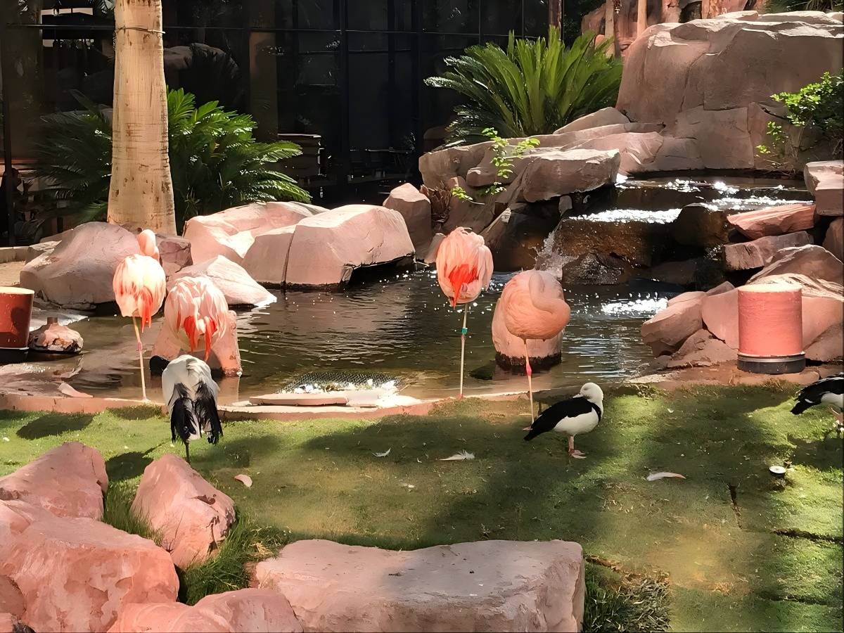A rich wildlife experience