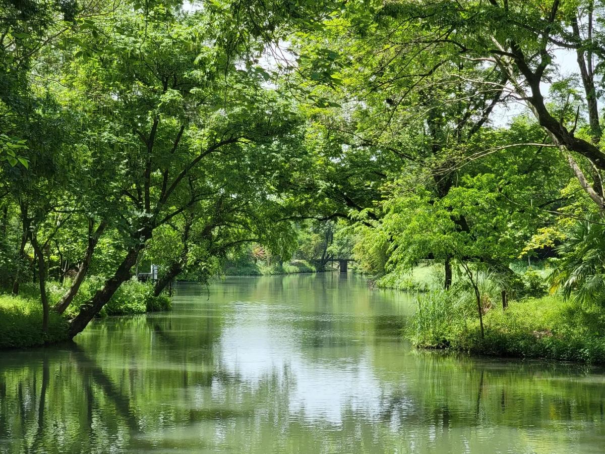 Wetlands with a difference