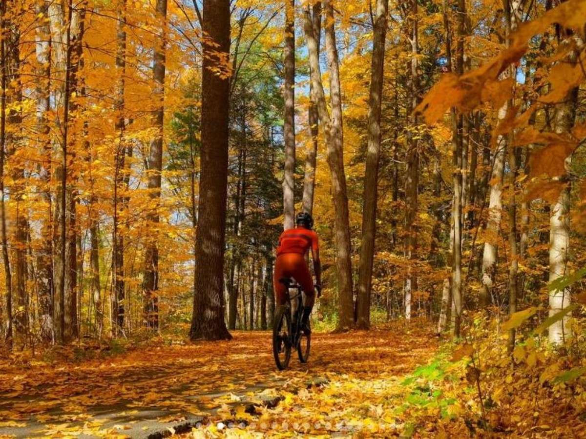 Recommended most beautiful bicycle paths