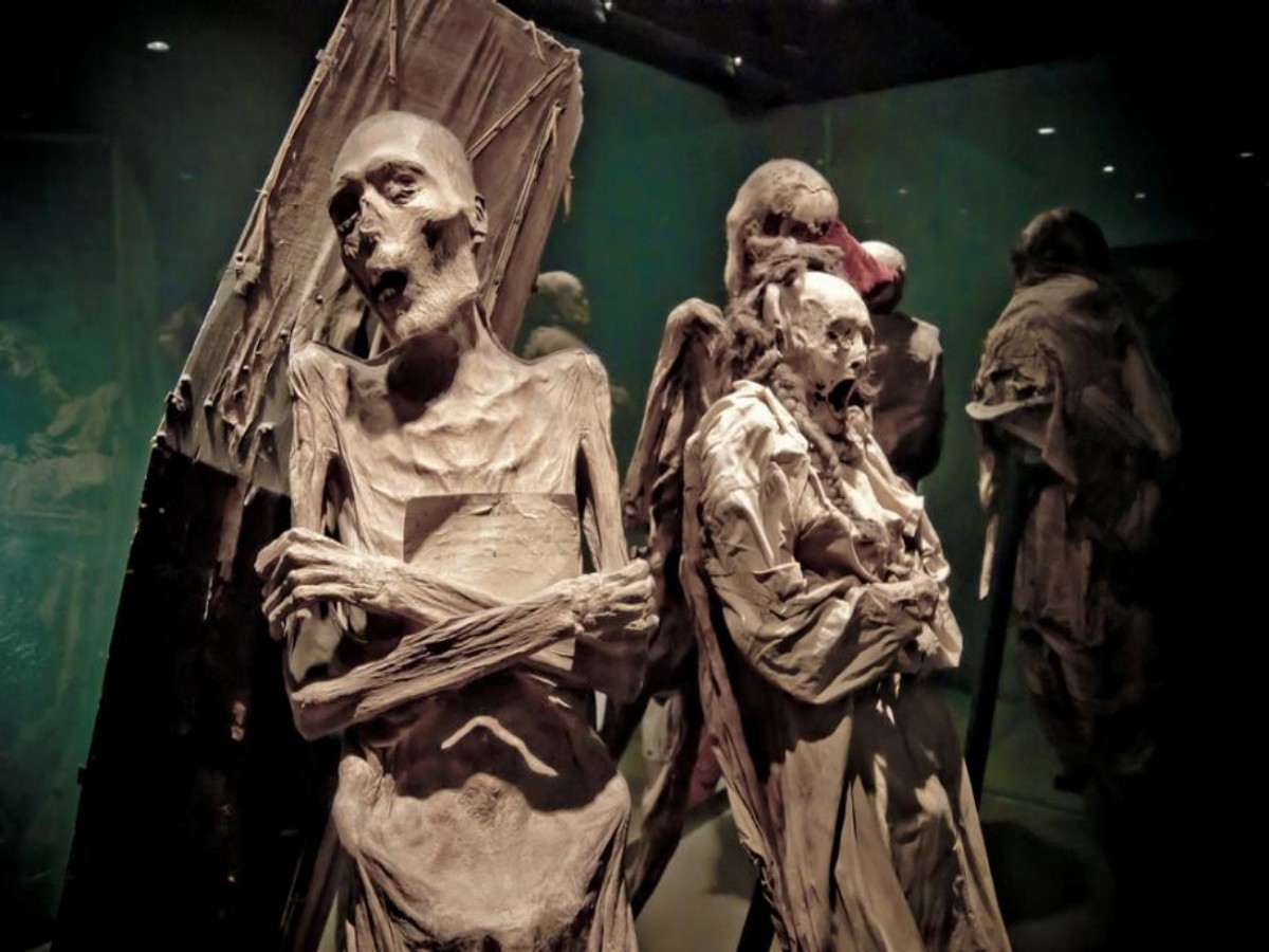 The birth of the mysterious mummy: an unexpected history