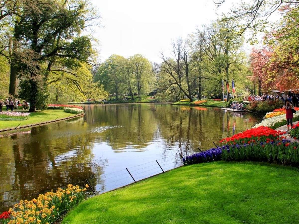 In-garden tour: stroll along the flower path and encounter beauty