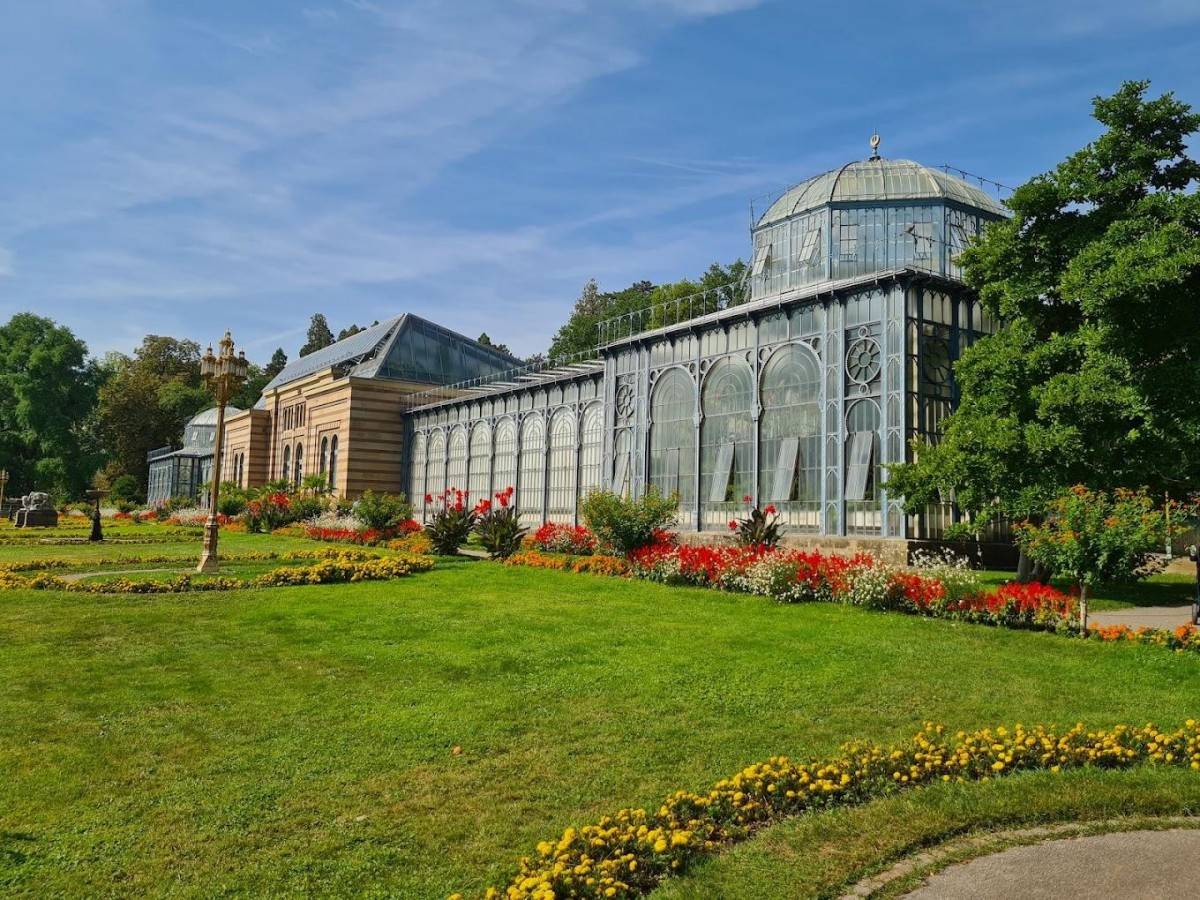 Must-see in the park: Wilhelma's star animals and plants