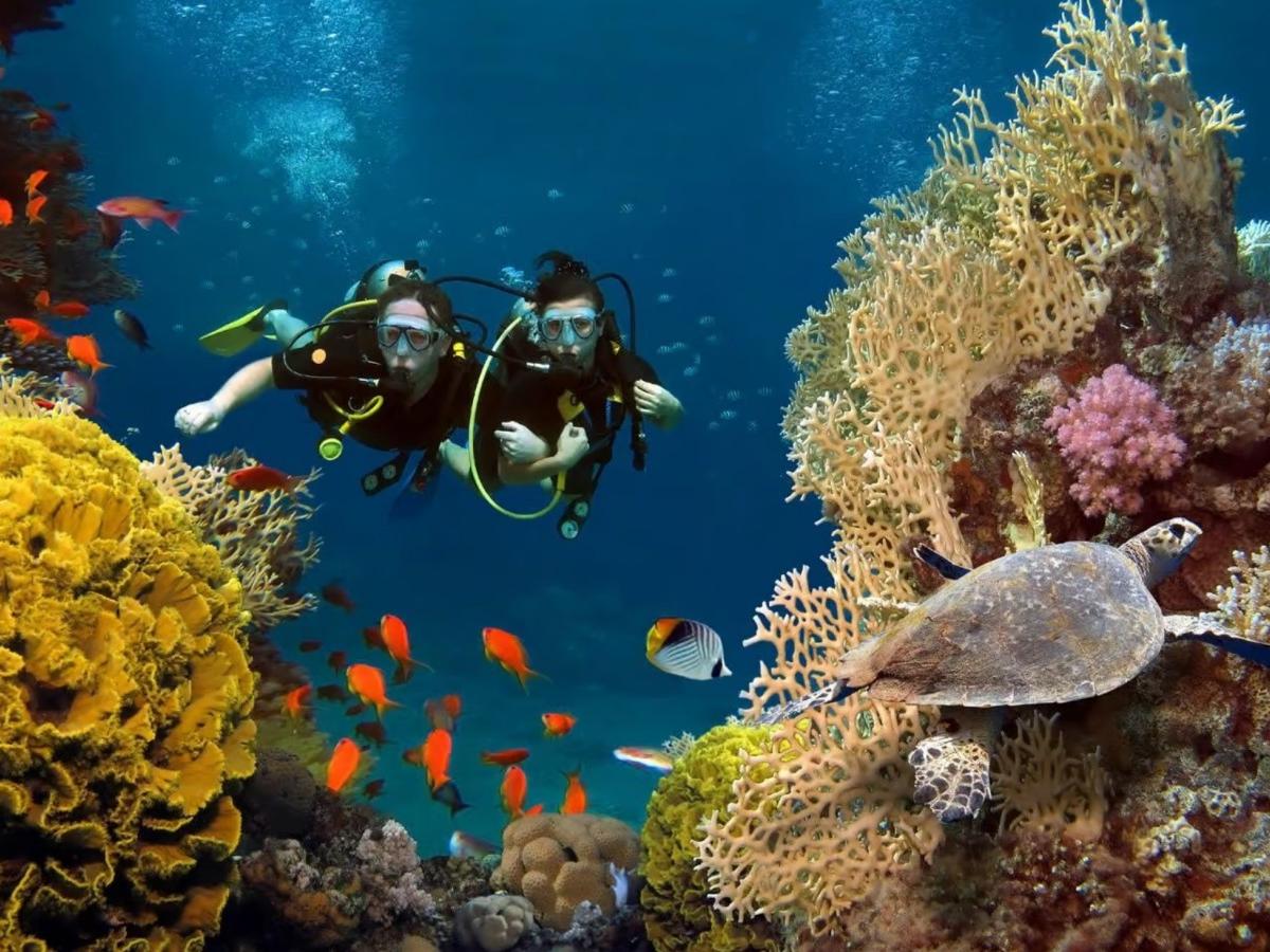 Snorkeling Advice and Travel Tips