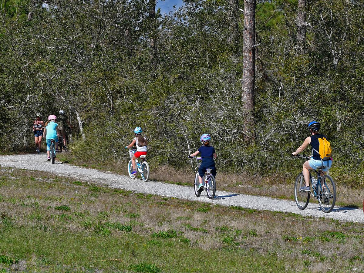 Cycling in the Bay