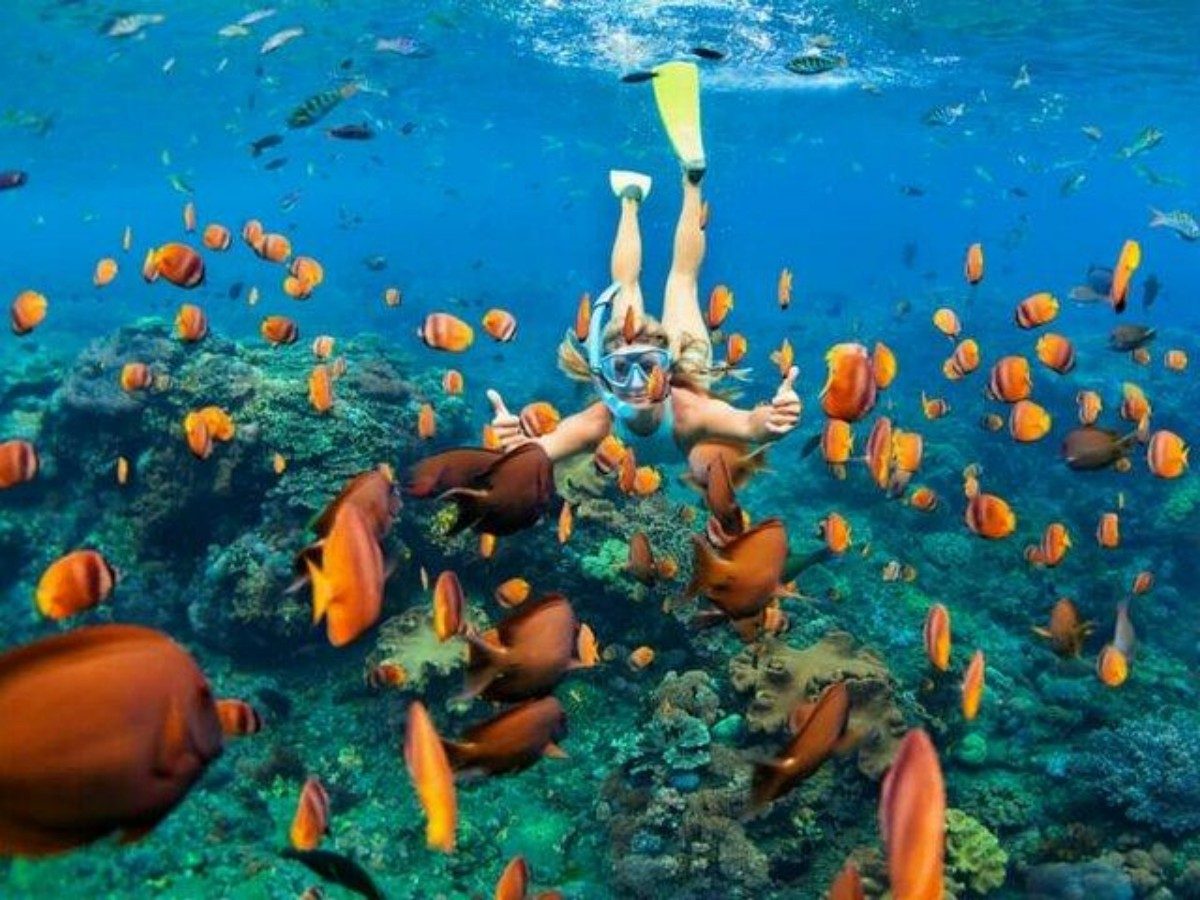 II. What to Prepare Before Snorkeling?
