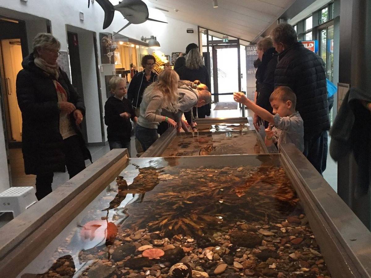 Visitors' Notes: Touch Pool Opening Hours and Precautions