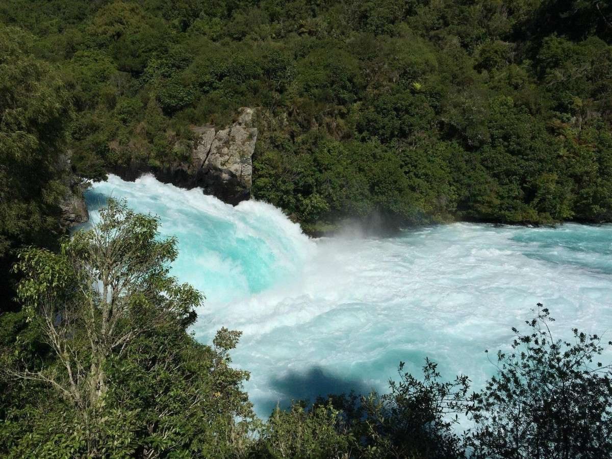 3. Hiking to explore the Waikato riverbank and surrounding nature