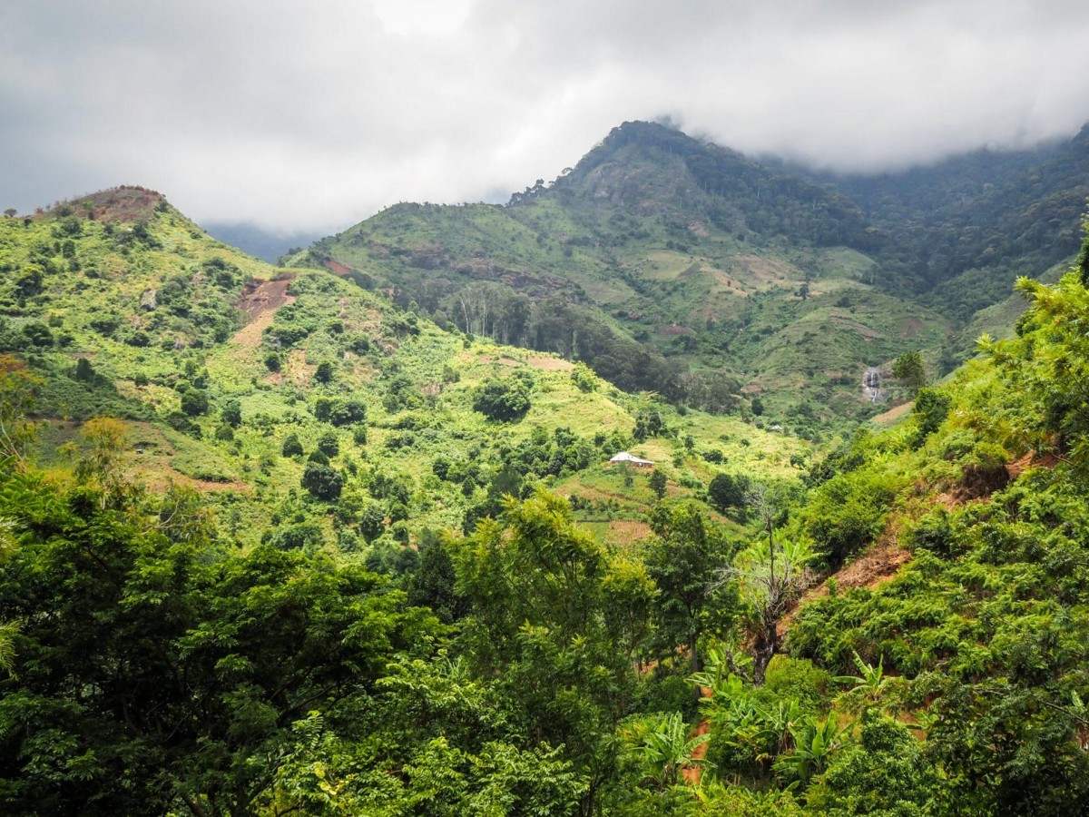 Hiking route: From the rainforest to the clouds