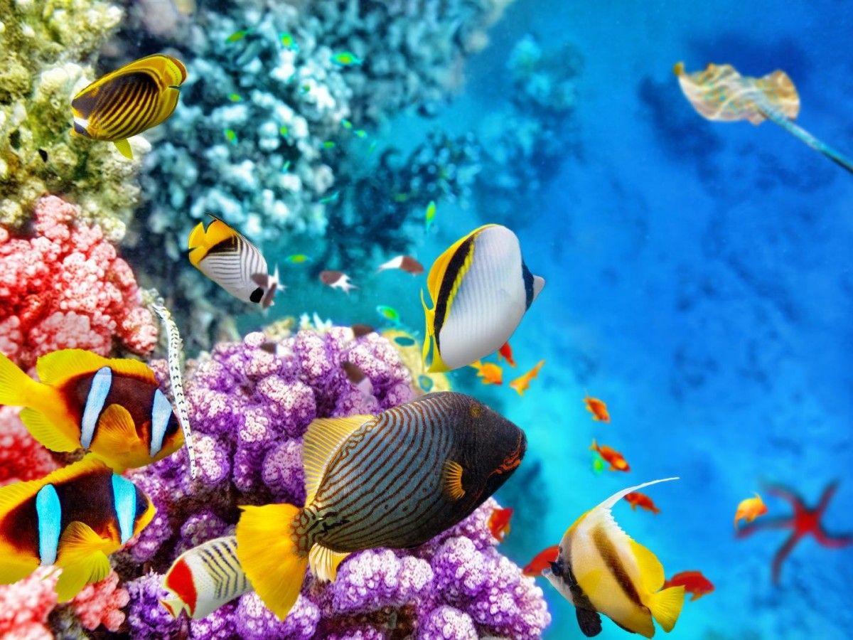 Underwater safety precautions