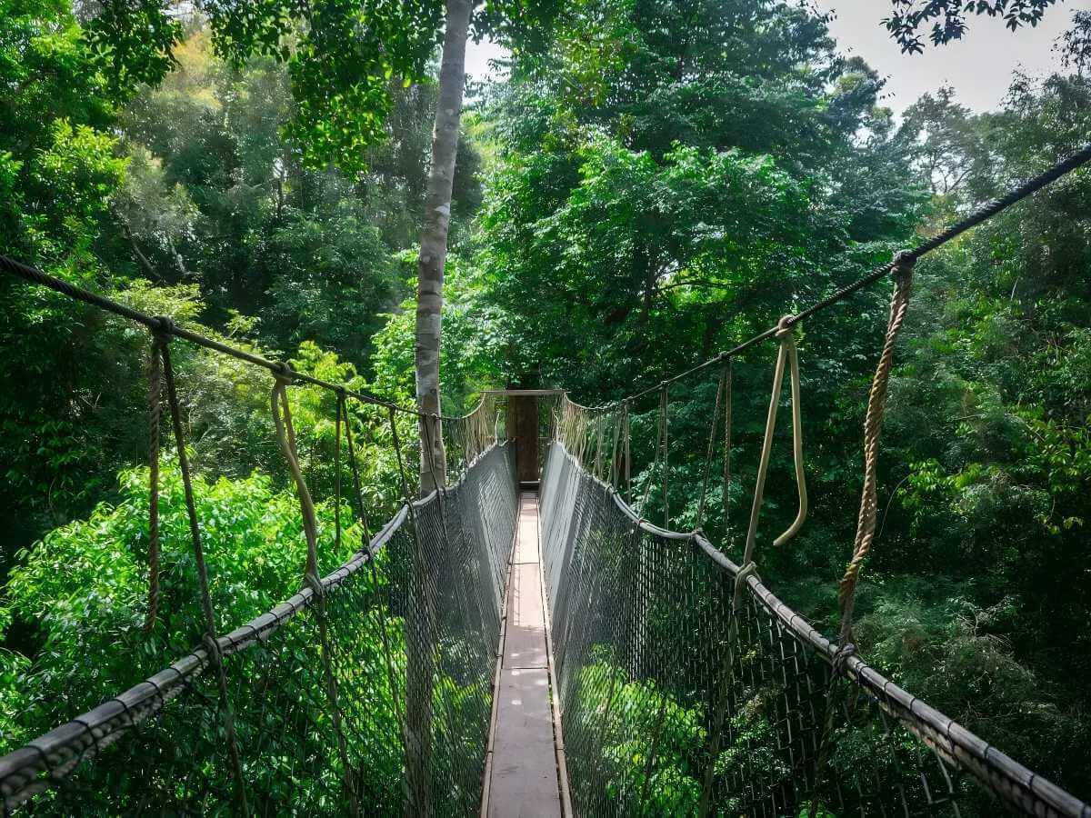 Eco-Theater: A feast for the senses from the micro to the macro level