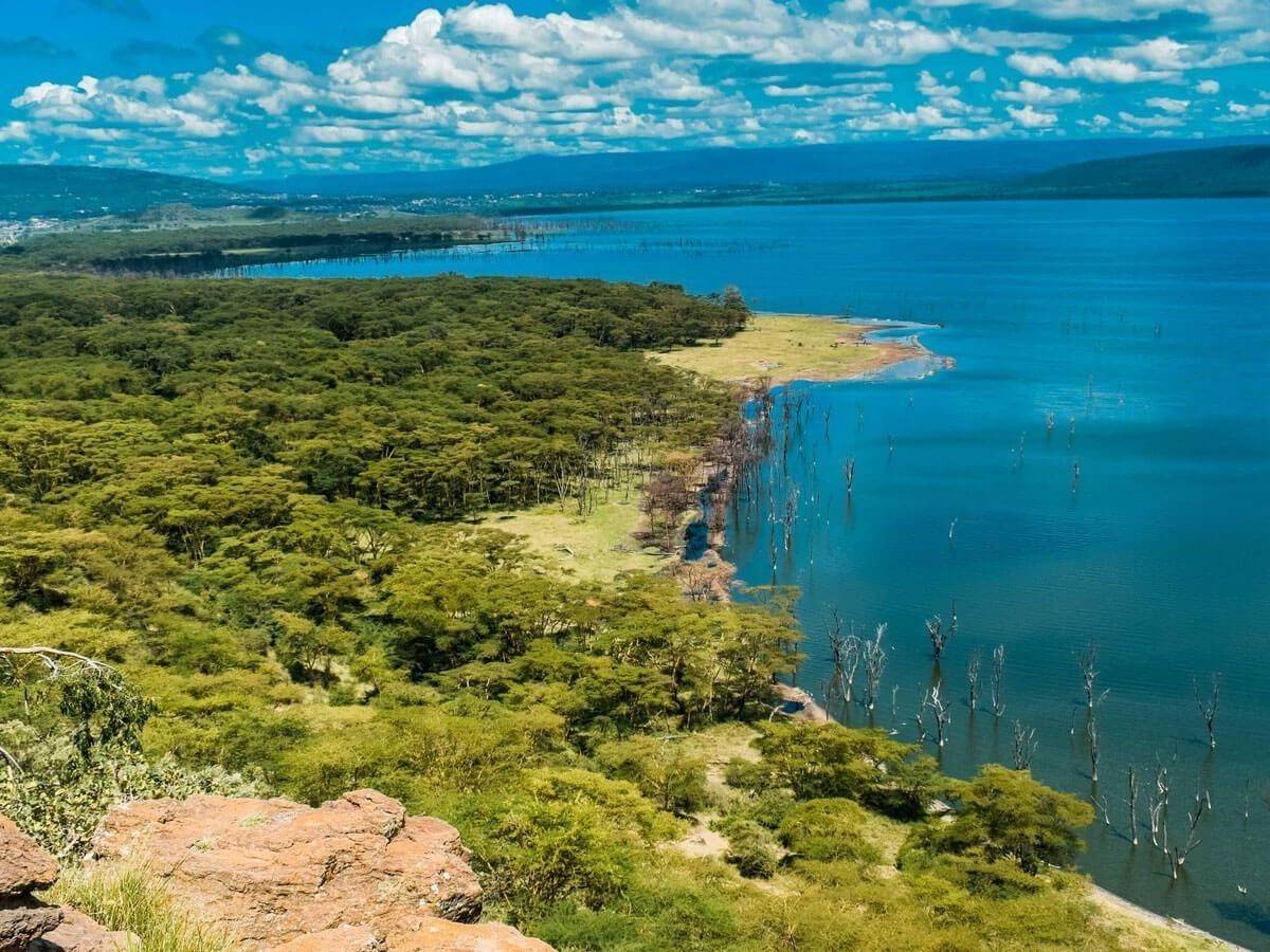 History and Background: From Crater to Animal Paradise